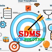 SDMS Web Solution SEO Services