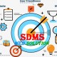 SDMS Web Solution SEO Services